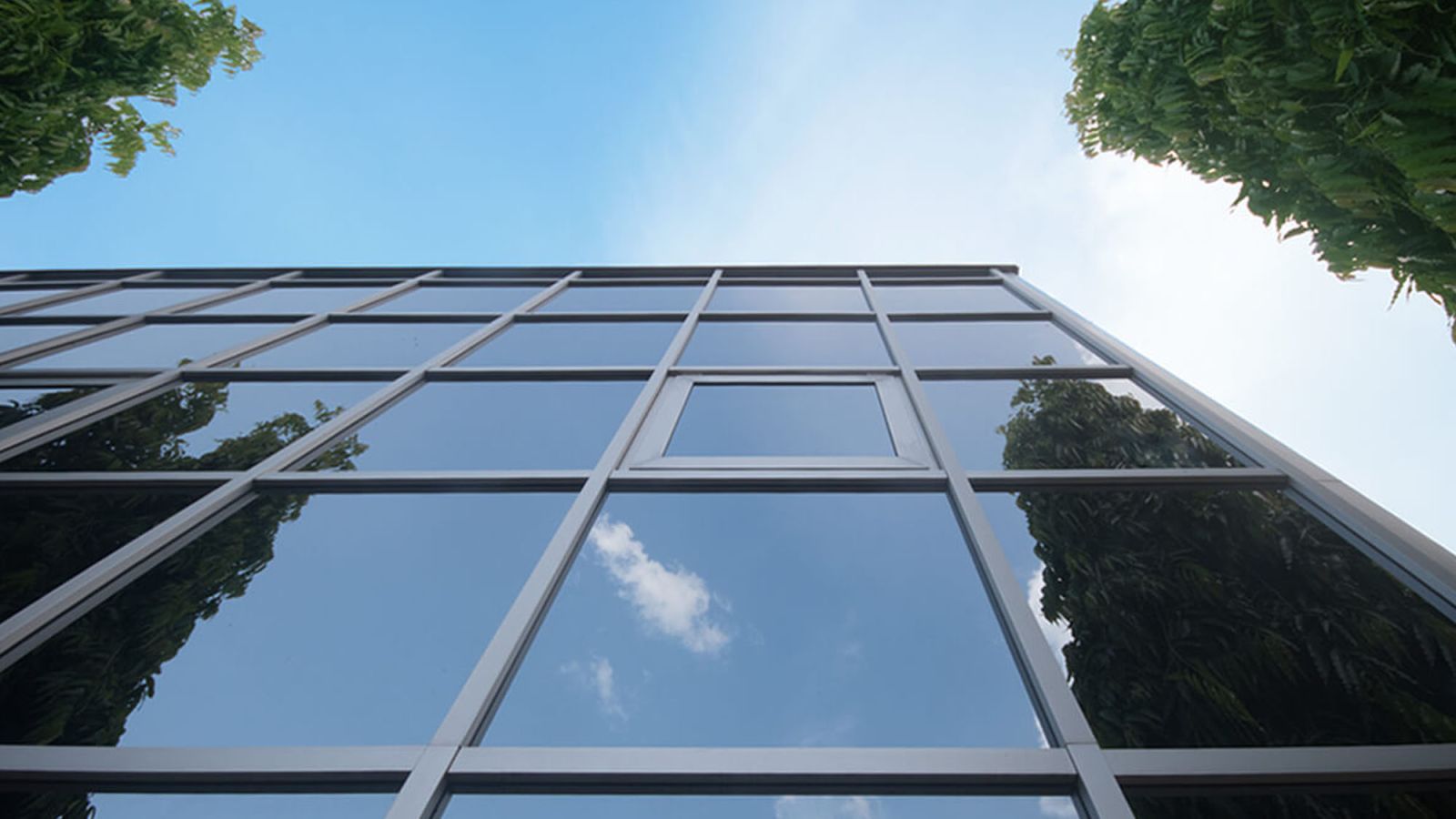curtain walling installation